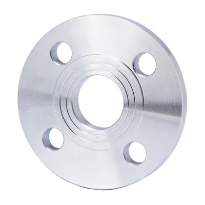 SS Flange